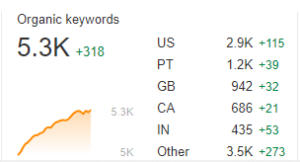 Professional SEO Specialist in Bangladesh 11 organic traffic growth