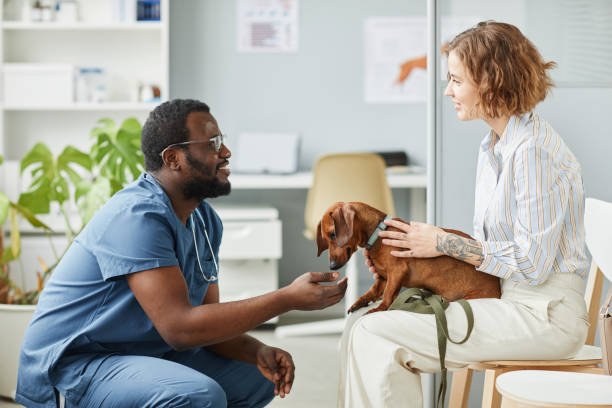 seo-services-for-animal-hospital-2 SEO Services For Animal Hospital