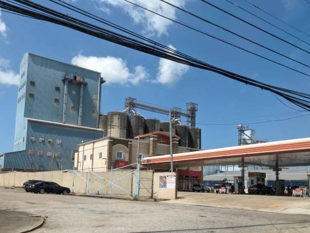 seo-services-for-flour-mill-2 SEO Services For Flour Mill