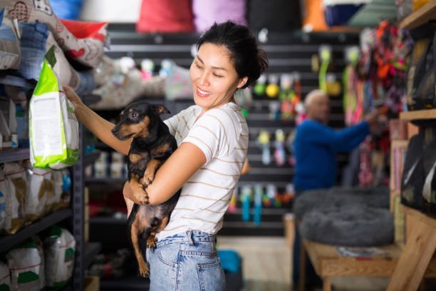 seo-services-for-petshop-1 SEO Services For Pet shop