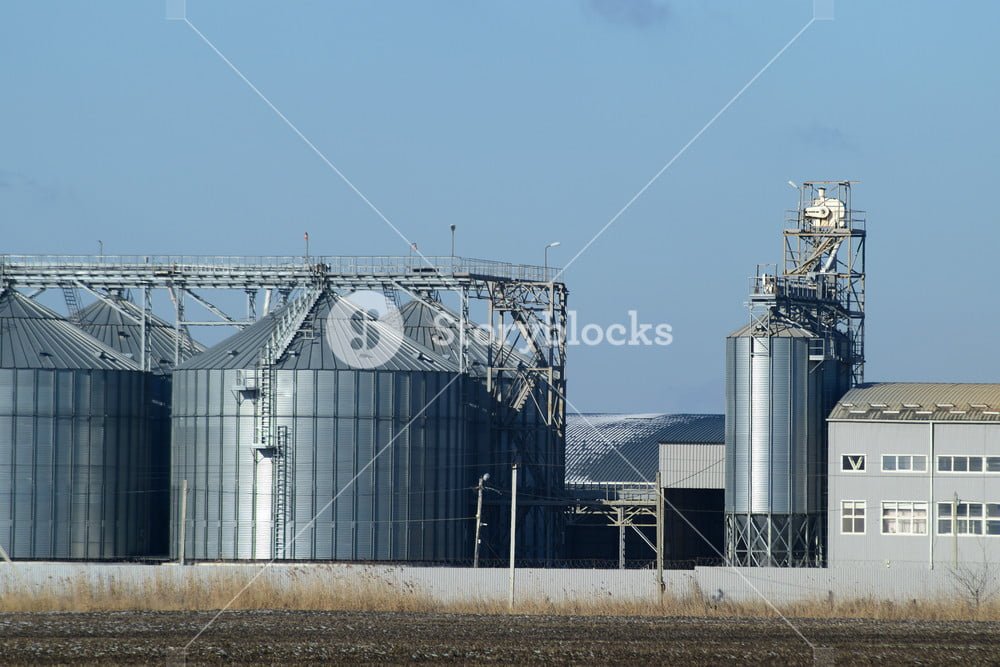 seo-services-for-rice-mill-1 SEO Services For Rice Mill