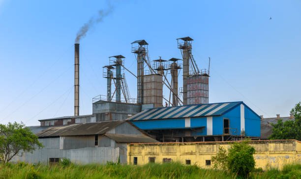 Rice Mill making Air Pollution. SEO Services For Rice Mill